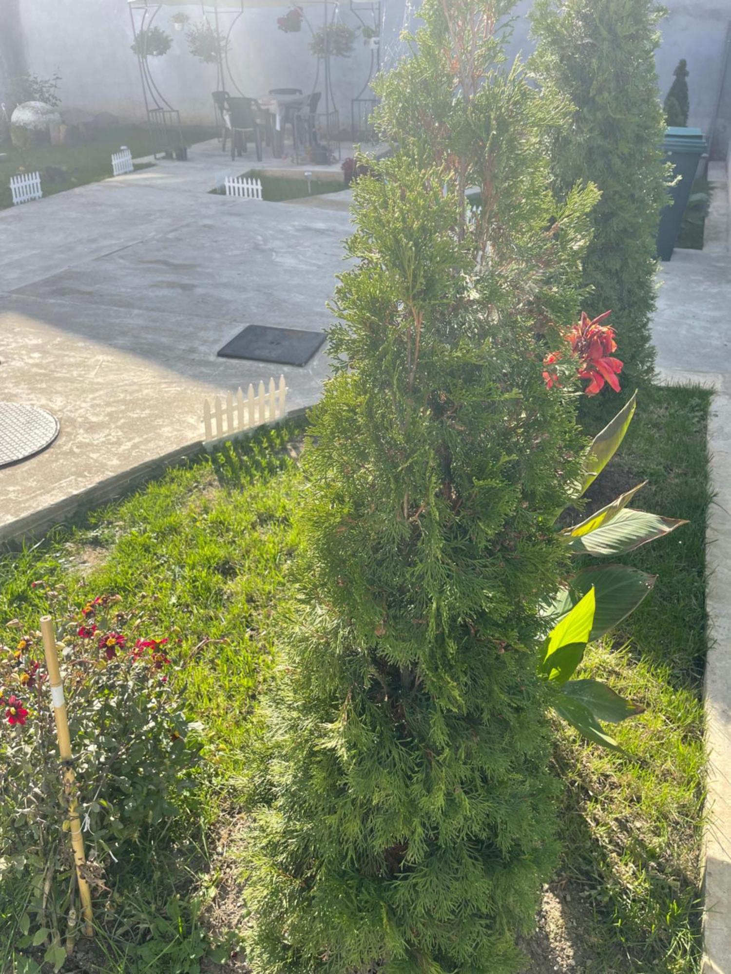 מלון סלניק Casa Roa מראה חיצוני תמונה